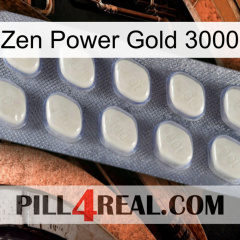 Zen Power Gold 3000 08